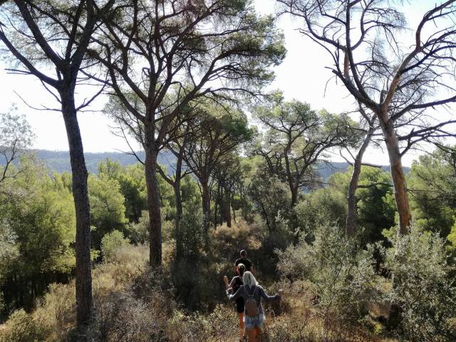 9_10212519388091390_1784508613_o