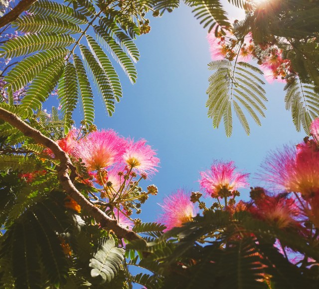 IMG_20190527_165838_620