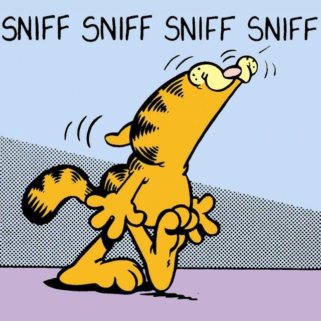 a815a3e94eb29139053515d3d291cc8c