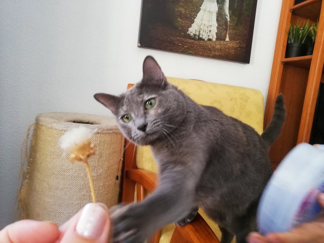 LRM_EXPORT_227639450238697_20190831_172803337