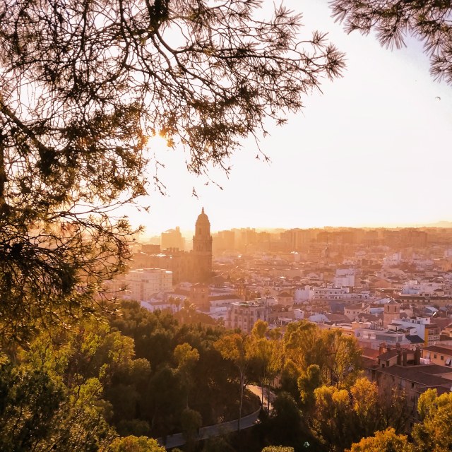 IMG_20191222_223239_622