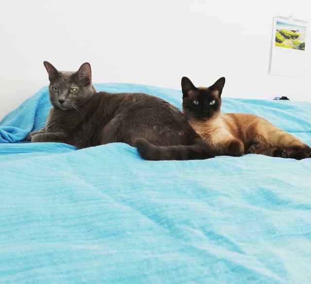 IMG_20190304_115937_662