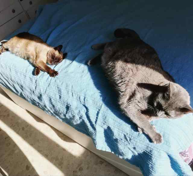 IMG_20190304_115937_665