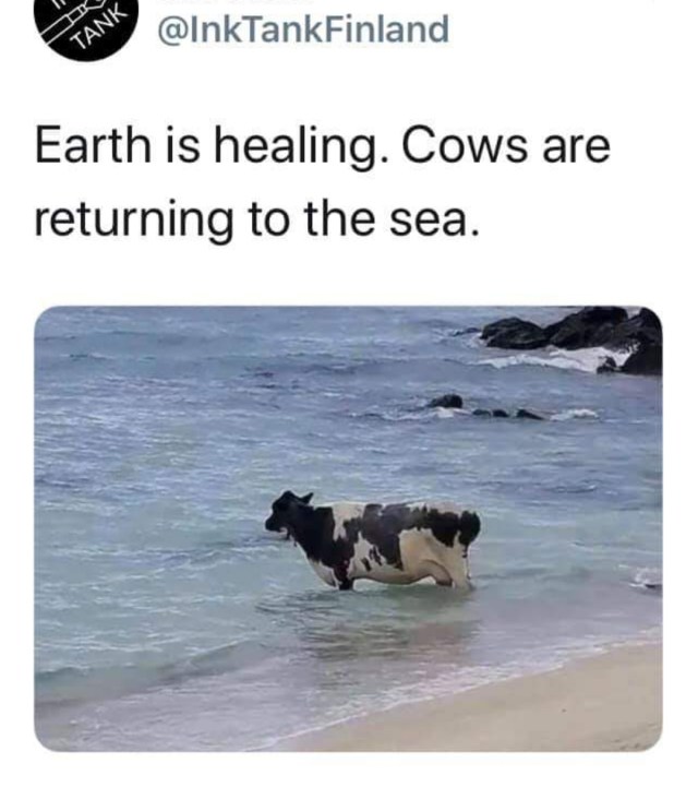 Screenshot_20200414_150904_com.facebook.katana