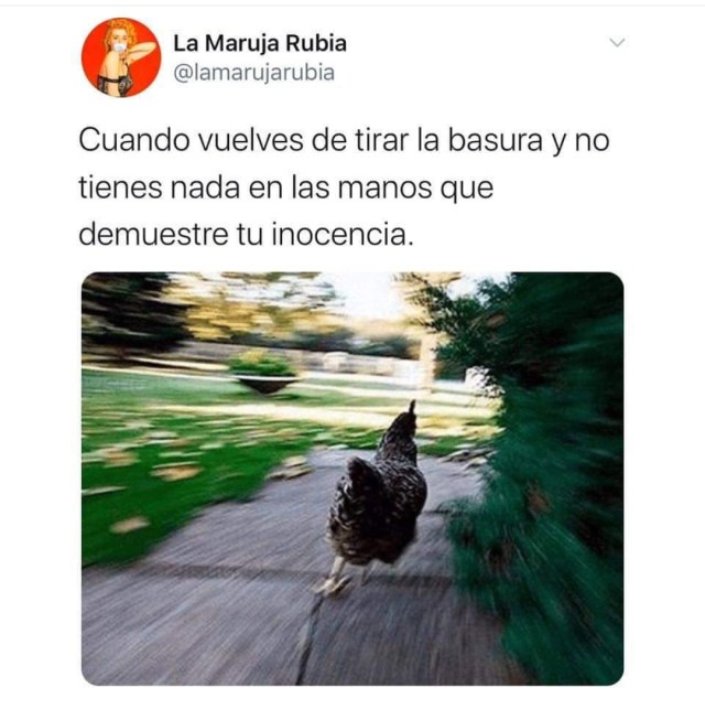 Screenshot_20200414_184006_com.instagram.android