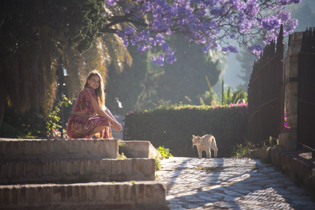 Kassime või ei kassi